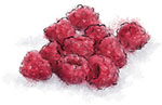 Raspberries Illustration for french martini