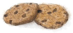 Recipe illustration of ginger chocolate chip cookies