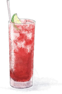 Seabreeze illustration for valentines cocktail recipes