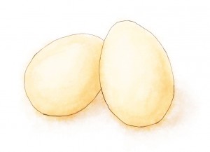 Eggs Illustration of two eggs for carbonara recipe