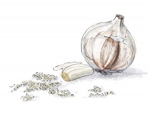 Garlic