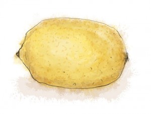 An illustration of a lemon for savoury pear and gorgonzola tart recipe