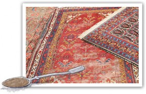 Morrocan Rug and Spice spoon illustration