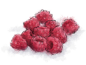 Ilustrated pile of raspberries for ice cream sauce