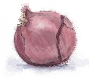 Red Onion Illustration of a red onion