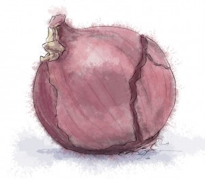 Illustration of a red onion