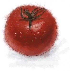 An illustration of a tomato