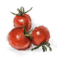 Cherry tomato illustration for Greek salad tart recipe
