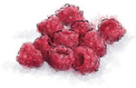 Raspberries Illustration for french martini Raspberries Illustration for french martini