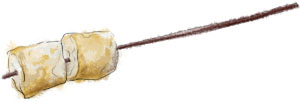 Marshmallows on a skewer Marshmallow Illustration for smores recipes