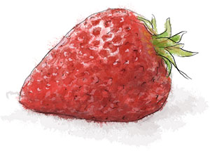 Victoria Sponge Recipe illustration of a strawberry