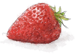 Victoria Sponge Recipe illustration of a strawberry