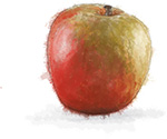 Apple illustration for cinnamon pecan cheesecake recipe