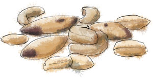 Illustration for Union Square Bar Nuts recipe