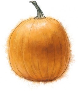 Recipe illustration of a pumpkin for easy pumpkin soup recipe