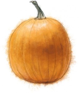 Pumpkin Recipe illustration of a pumpkin for Thanksgiving vegetable recipes