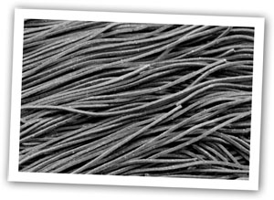 Photo of witches' hair pasta