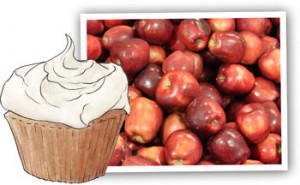 Apple cupcakes illustration for recipe