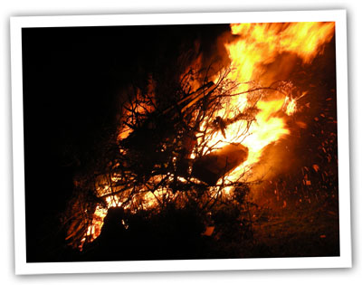 Bonfire photo for Guy Fawks night
