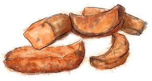 Illustration of pieces of roasted butternut squash for Thanksgiving