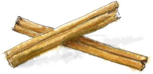 Illustration of cinnamon sticks for vanilla hot chocolate