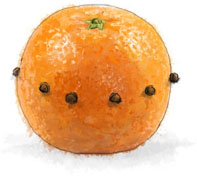 Cloved Orange illustration for steaming bishop cocktail recipe for Guy Fawkes Cloved Orange illustration for steaming bishop cocktail recipe for Guy Fawkes