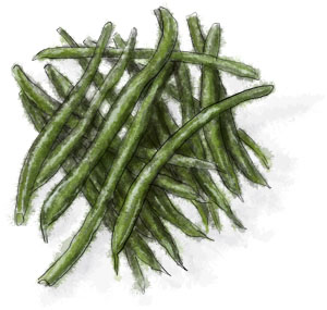 Green Beans Green beens for Thanksgiving recipe