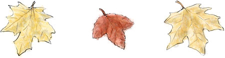 Leaves illustration for autumn pumpkin apple cake recipe