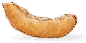 Roasted Pumpkin Roasted pumpkin illustration for recipe