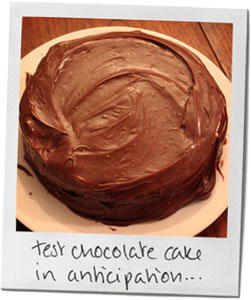 Chocolate cake photo for Sneak Like a Ninja pirate chocolate cake recipe