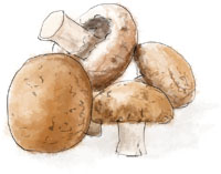 Mushrooms illustration for truffle tagliatelle recipe