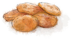 Apricot illustration for goat cheese and apricot flat breads