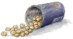Chick peas illustration for spiced chick pea recipe