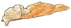 Dorito illustration for superbowl party recipes Dorito illustration for superbowl party recipes