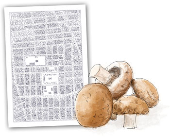 Mushrooms and maps illustration for date night truffled mushroom pasta recipe