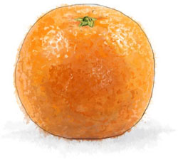 Orange illustration for green salad with oranges recipe