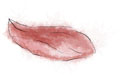 Petal5