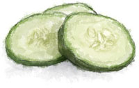 Cucumbers illustration for cucumber collins cocktail recipe