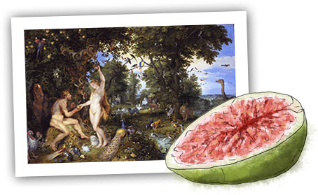 Eden and fig illustration for aphrodisiac pizza recipe