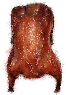 Peking Duck illustration for Chinese New Year recipes Peking Duck illustration for Chinese New Year recipes