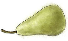 Pear illustration for warm pear and gorgonzola tart recipe