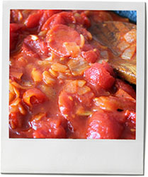 Tomato sauce for tomato sauce recipe