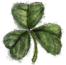 Shamrock Illustration for St Patrick's Day green cupcake recipes