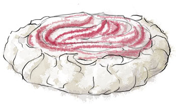 Rhubarb Pavlova illustration for easy spring pavlova recipe