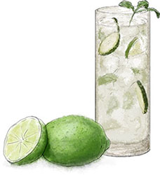 Cucumber Collins illustration for cocktail recipe