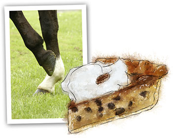 Kentucky Derby illustration of thoroughbred pie for recipe