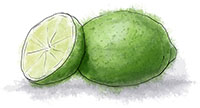 Lime illustration for sloe gin and tonic recipe