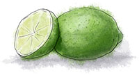 Lime illustration for strawberry smash cocktail recipe