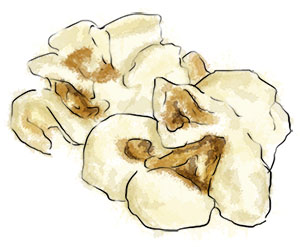 Popcorn illustration for Bieber fest recipes