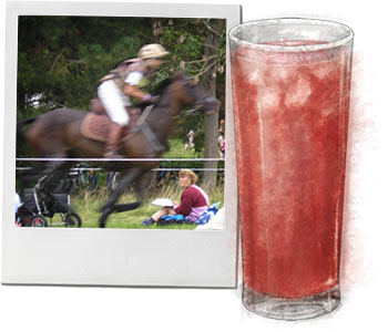 Blenheim horse trials and sloe Gin and tonic